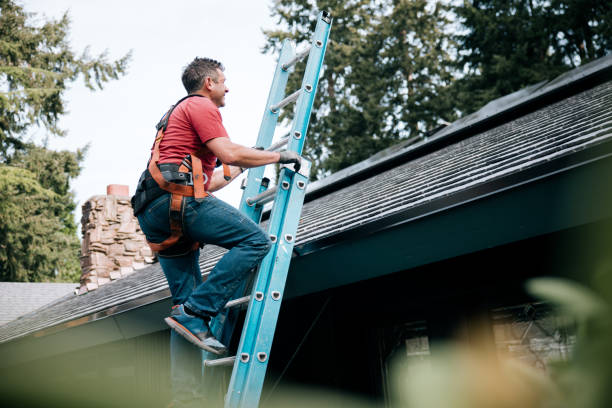 Best Chimney Flashing Repair  in Meadow Vale, KY